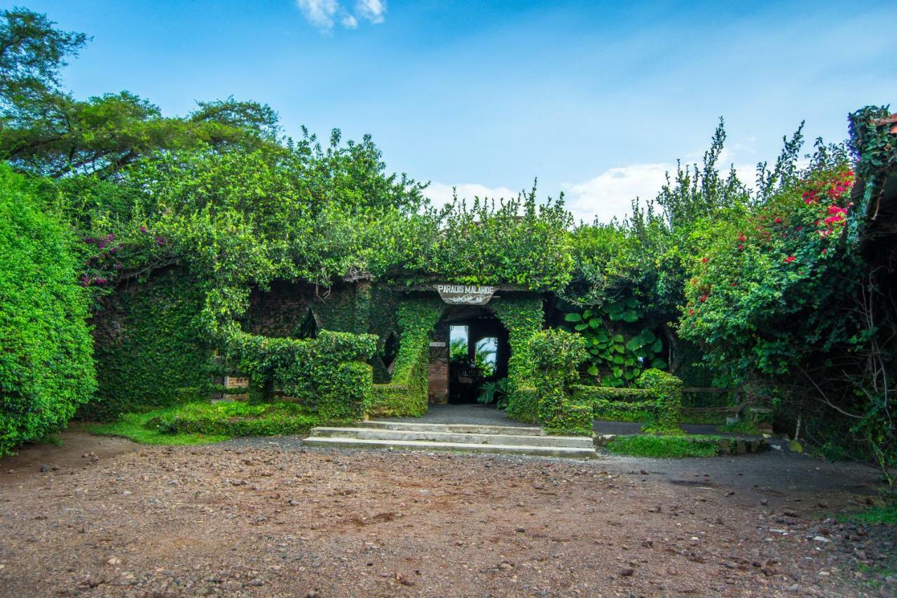 Paradis Malahide Gisenyi Luaran gambar